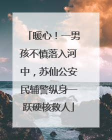 暖心！一男孩不慎落入河中，苏仙公安民辅警纵身一跃硬核救人