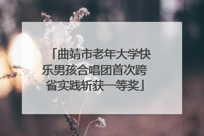 曲靖市老年大学快乐男孩合唱团首次跨省实践斩获一等奖