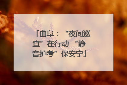 曲阜：“夜间巡查”在行动 “静音护考”保安宁