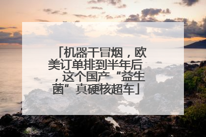 机器干冒烟，欧美订单排到半年后，这个国产“益生菌”真硬核超车