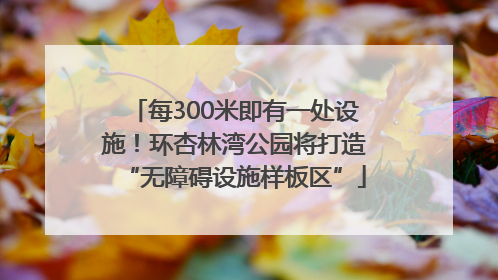 每300米即有一处设施！环杏林湾公园将打造“无障碍设施样板区”