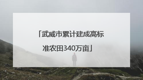 武威市累计建成高标准农田340万亩