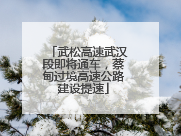 武松高速武汉段即将通车，蔡甸过境高速公路建设提速