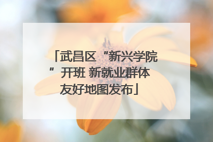 武昌区“新兴学院”开班 新就业群体友好地图发布
