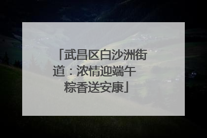 武昌区白沙洲街道：浓情迎端午 粽香送安康