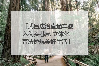 武昌法治直通车驶入街头巷尾 立体化普法护航美好生活