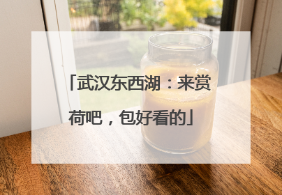 武汉东西湖：来赏荷吧，包好看的