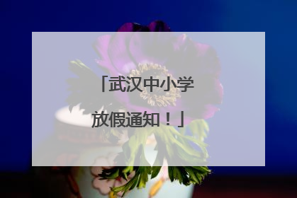 武汉中小学放假通知！
