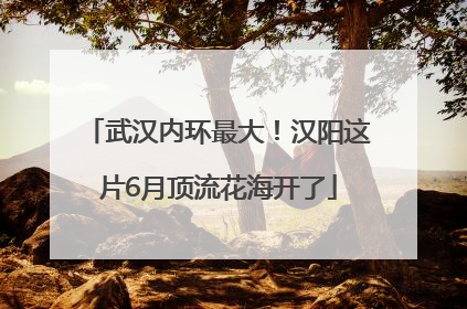 武汉内环最大！汉阳这片6月顶流花海开了