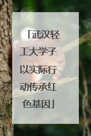 武汉轻工大学子以实际行动传承红色基因