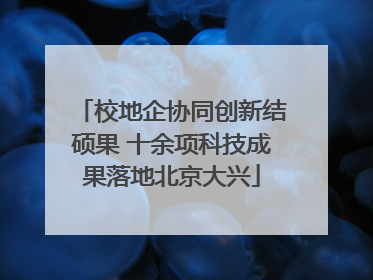 校地企协同创新结硕果 十余项科技成果落地北京大兴