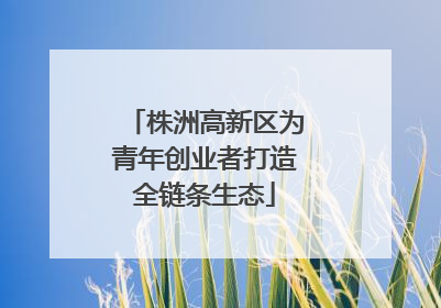 株洲高新区为青年创业者打造全链条生态