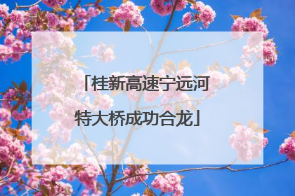 桂新高速宁远河特大桥成功合龙