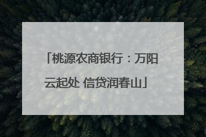 桃源农商银行：万阳云起处 信贷润春山