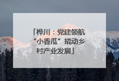 桦川：党建领航“小香瓜”撬动乡村产业发展