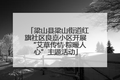 梁山县梁山街道红旗社区良嘉小区开展“艾草传情·粽暖人心”主题活动