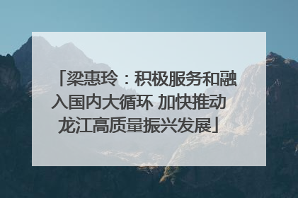 梁惠玲：积极服务和融入国内大循环 加快推动龙江高质量振兴发展