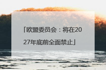 欧盟委员会：将在2027年底前全面禁止