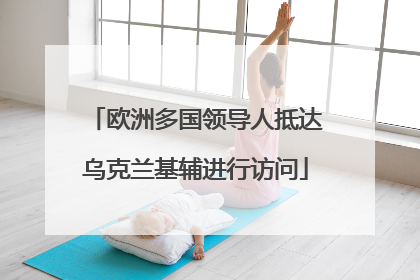 欧洲多国领导人抵达乌克兰基辅进行访问