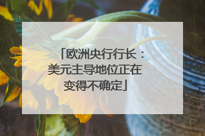 欧洲央行行长：美元主导地位正在变得不确定