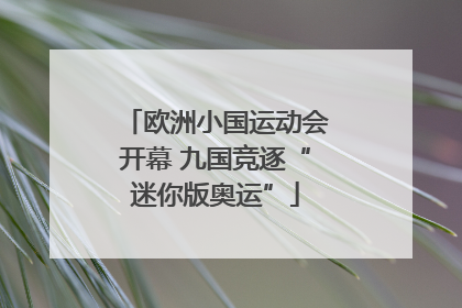 欧洲小国运动会开幕 九国竞逐“迷你版奥运”