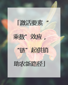 激活要素“乘数”效应，“链”起供销助农新路径
