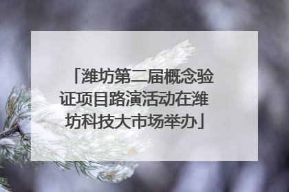 潍坊第二届概念验证项目路演活动在潍坊科技大市场举办