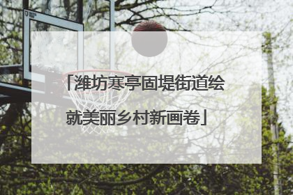 潍坊寒亭固堤街道绘就美丽乡村新画卷