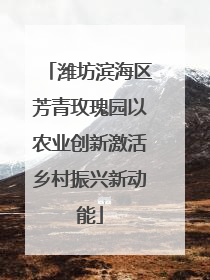 潍坊滨海区芳青玫瑰园以农业创新激活乡村振兴新动能