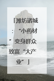 潍坊诸城：“小药材”变身群众致富“大产业”