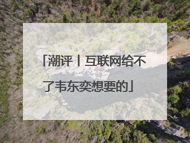 潮评丨互联网给不了韦东奕想要的