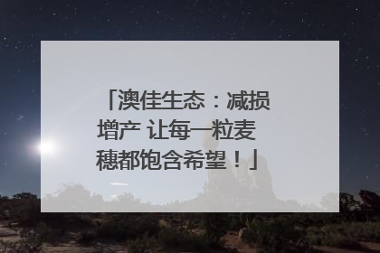 澳佳生态：减损增产 让每一粒麦穗都饱含希望！