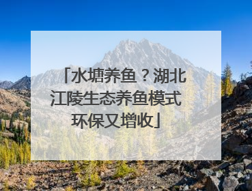 水塘养鱼？湖北江陵生态养鱼模式环保又增收
