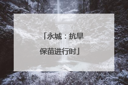 永城：抗旱保苗进行时
