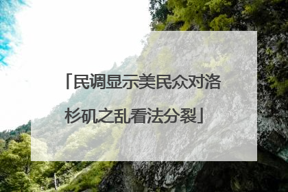 民调显示美民众对洛杉矶之乱看法分裂