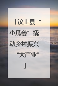 汶上县“小瓜蒌”撬动乡村振兴“大产业”