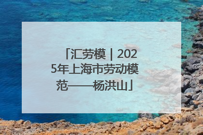 汇劳模｜2025年上海市劳动模范——杨洪山