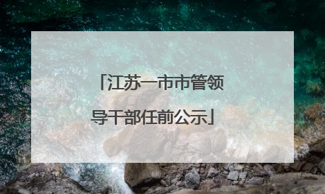 江苏一市市管领导干部任前公示