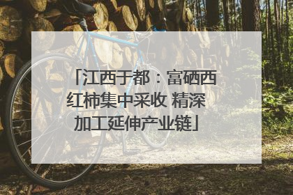 江西于都：富硒西红柿集中采收 精深加工延伸产业链