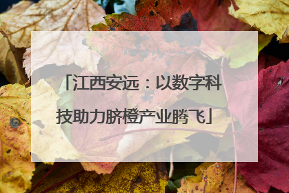 江西安远：以数字科技助力脐橙产业腾飞