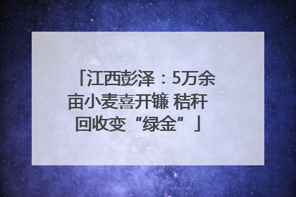 江西彭泽：5万余亩小麦喜开镰 秸秆回收变“绿金”