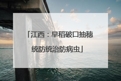 江西：早稻破口抽穗 统防统治防病虫