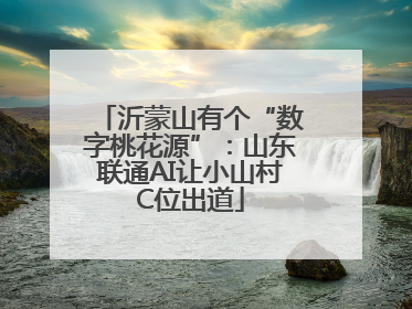 沂蒙山有个“数字桃花源”：山东联通AI让小山村C位出道