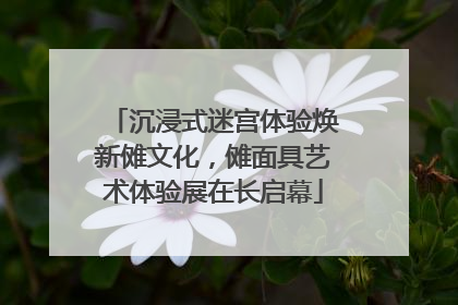 沉浸式迷宫体验焕新傩文化，傩面具艺术体验展在长启幕
