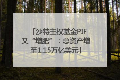 沙特主权基金PIF又“增肥”：总资产增至1.15万亿美元