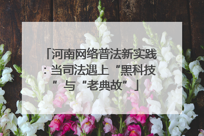 河南网络普法新实践：当司法遇上“黑科技”与“老典故”