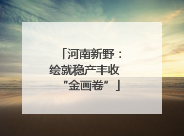 河南新野：绘就稳产丰收“金画卷”