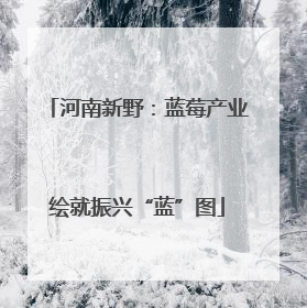 河南新野：蓝莓产业绘就振兴“蓝”图