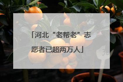 河北“老帮老”志愿者已超两万人