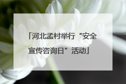 河北孟村举行“安全宣传咨询日”活动